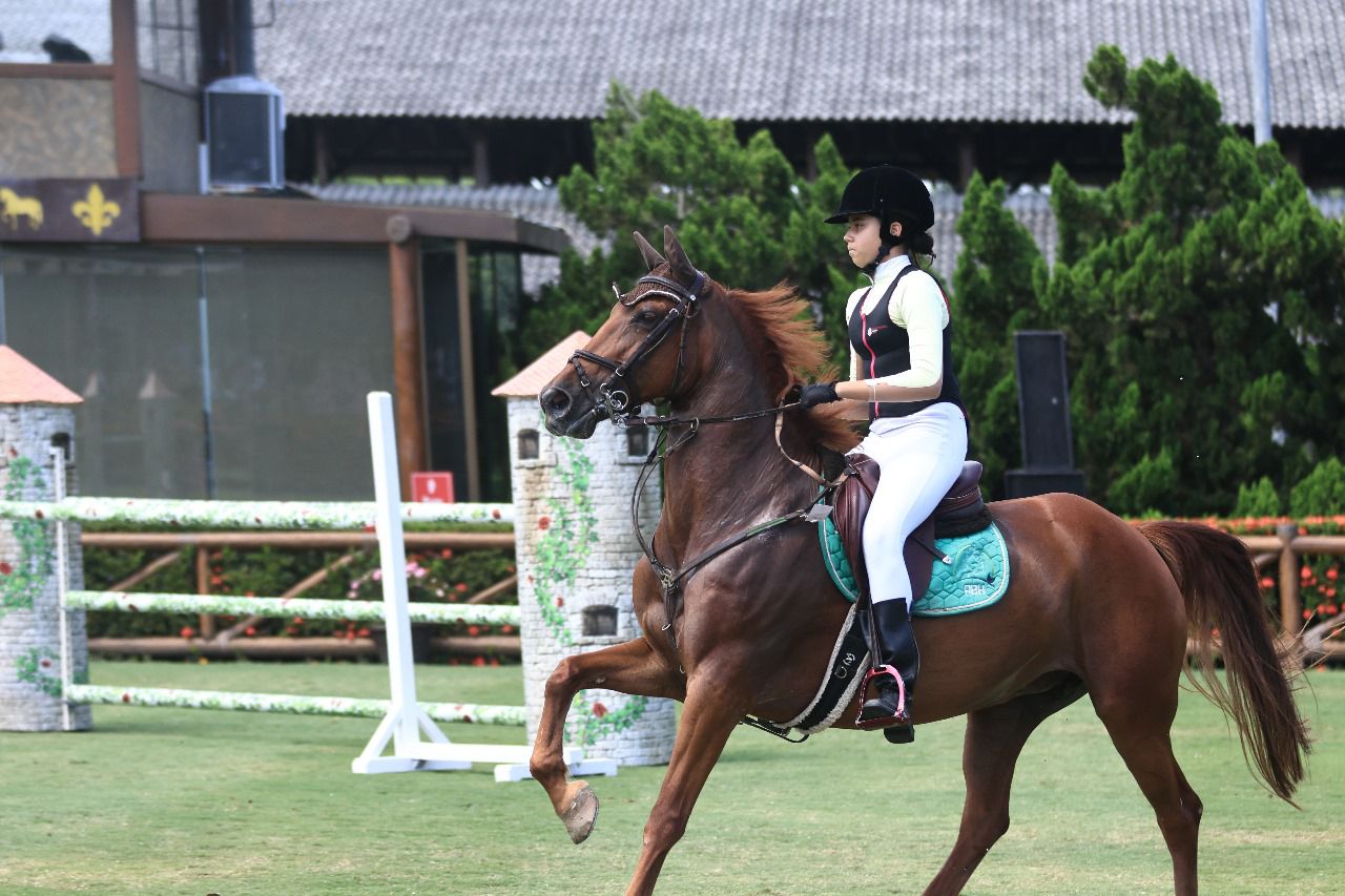 8efc314d-41f2-447a-860c-979d4ec995cf